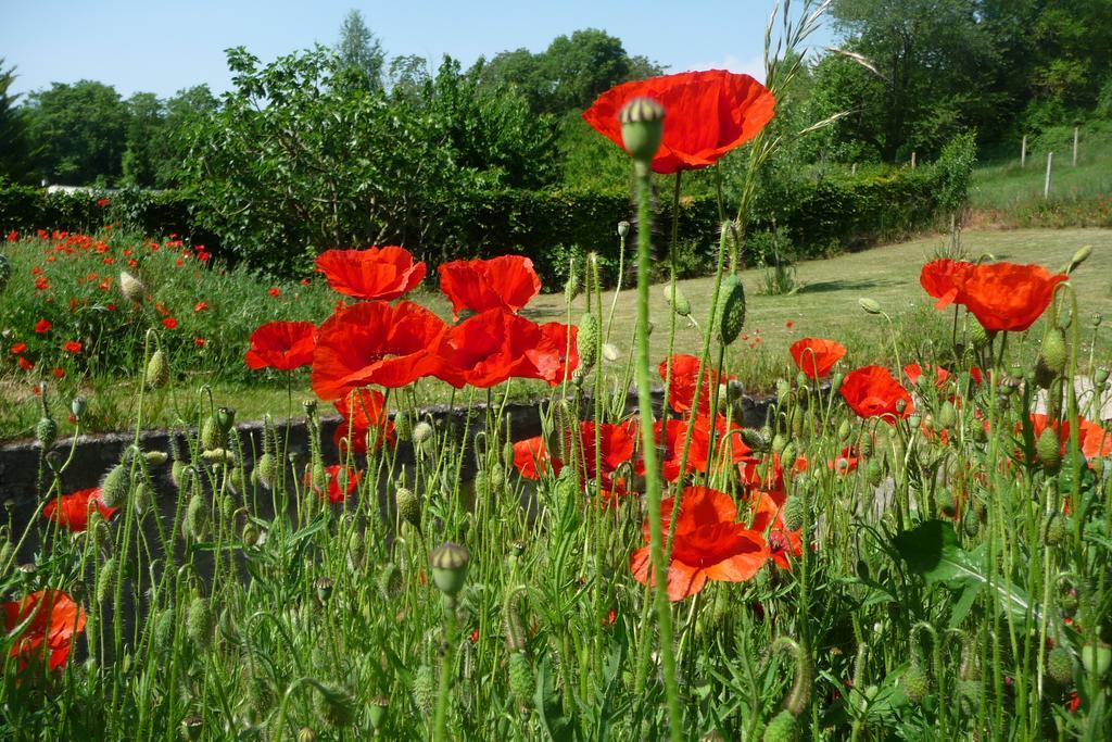 Maison D'hôtes Les Coquelicots Giverny Exterior foto